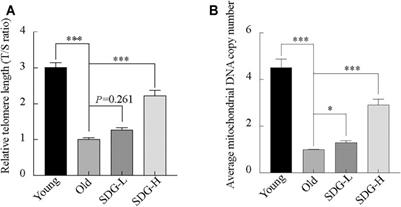 Secoisolariciresinol Diglucoside Improves Ovarian Reserve in Aging Mouse by Inhibiting Oxidative Stress